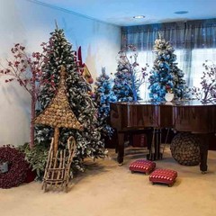 Клуб отдыха Лужки, Аносино, Московская область