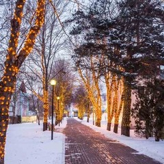 Клуб отдыха Лужки, Аносино, Московская область