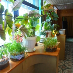 Гостиница Купеческое подворье, Арзамас, Нижегородская область