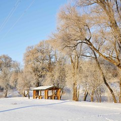Клуб отдыха Лужки, Аносино, Московская область