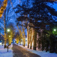 Клуб отдыха Лужки, Аносино, Московская область
