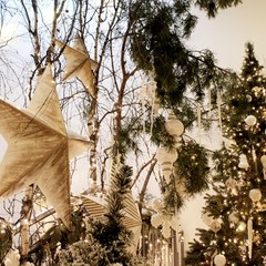 Клуб отдыха Лужки, Аносино, Московская область