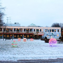 Клуб отдыха Лужки, Аносино, Московская область