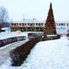 Клуб отдыха Лужки, Аносино, Московская область