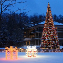 Клуб отдыха Лужки, Аносино, Московская область