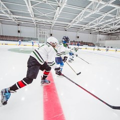 Клуб отдыха Лужки, Аносино, Московская область