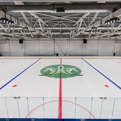 Клуб отдыха Лужки, Аносино, Московская область