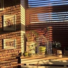 Отель Реавиль, Арзамас, Нижегородская область