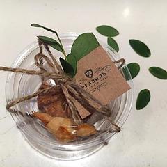 Отель Реавиль, Арзамас, Нижегородская область