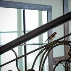 Гостиничный комплекс Villa Club, Армавир, Краснодарский край