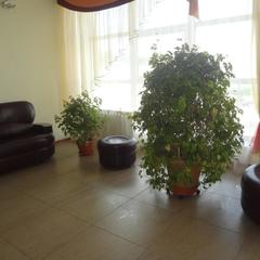 Отель Диана, Арзамас, Нижегородская область