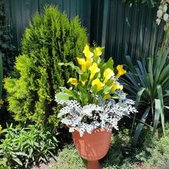 Гостевой дом Гостиный двор, Армавир, Краснодарский край