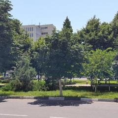 Гостевой дом Гостиный двор, Армавир, Краснодарский край