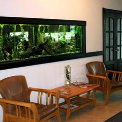 Гостиница Аир, Артем, Приморский край