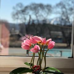 Отель Hingan, Арсеньев, Приморский край