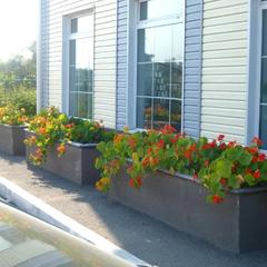  Мотель Негус, Артем, Приморский край