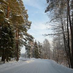 База отдыха Новинки Парк, Арнеево, Московская область