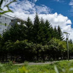  Авиа Отель, Артем, Приморский край