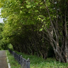  Авиа Отель, Артем, Приморский край