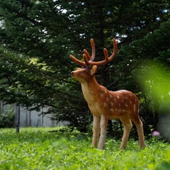  Авиа Отель, Артем, Приморский край