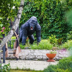 Отель Монро, Артем, Приморский край