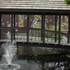 Отель Бутик-Отель Кедровый город, Артем, Приморский край