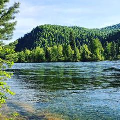 База отдыха Бия заповедная, Турочакский район, Республика Алтай