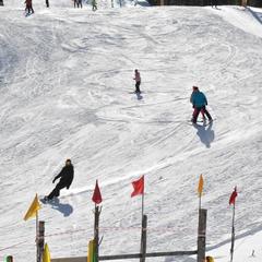 Гостевой дом Зеленый дом на Телецком озере, Артыбаш, Республика Алтай