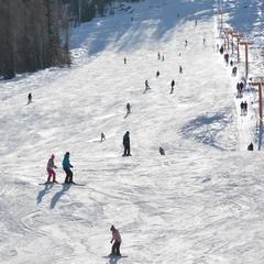 Гостевой дом Зеленый дом на Телецком озере, Артыбаш, Республика Алтай