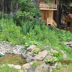 Гостевой дом Кедровый Дворик, Артыбаш, Республика Алтай