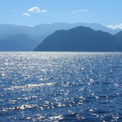 База отдыха Бия заповедная, Турочакский район, Республика Алтай