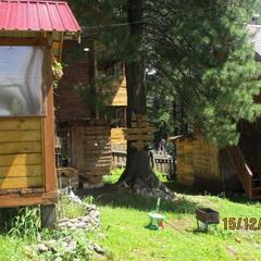 Гостевой дом Кедровый Дворик, Артыбаш, Республика Алтай