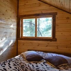 Гостевой дом Зеленый дом на Телецком озере, Артыбаш, Республика Алтай