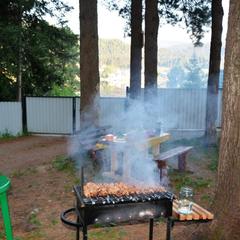 Гостевой дом Зеленый дом на Телецком озере, Артыбаш, Республика Алтай