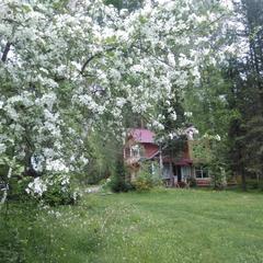 База отдыха Бия заповедная, Турочакский район, Республика Алтай