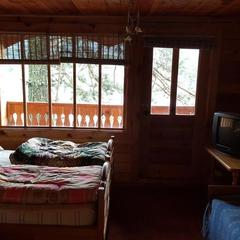 Гостевой дом Кедровый Дворик, Артыбаш, Республика Алтай