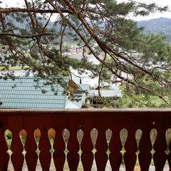 Гостевой дом Кедровый Дворик, Артыбаш, Республика Алтай