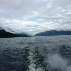 Гостевой дом Зеленый дом на Телецком озере, Артыбаш, Республика Алтай