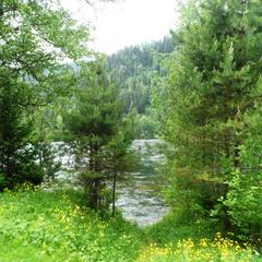База отдыха Бия заповедная, Турочакский район, Республика Алтай