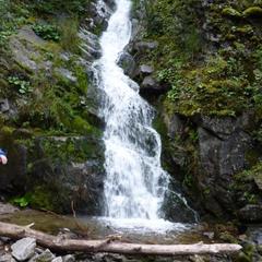 Гостевой дом Зеленый дом на Телецком озере, Артыбаш, Республика Алтай