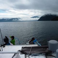 Гостевой дом Зеленый дом на Телецком озере, Артыбаш, Республика Алтай