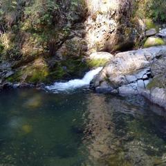 Гостевой дом Зеленый дом на Телецком озере, Артыбаш, Республика Алтай