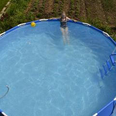 Гостевой дом Усадьба Агаш, Артыбаш, Республика Алтай