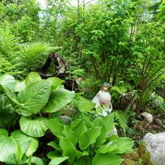 База отдыха Бия заповедная, Турочакский район, Республика Алтай