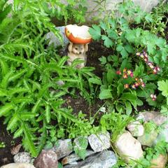 База отдыха Бия заповедная, Турочакский район, Республика Алтай