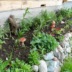 База отдыха Бия заповедная, Турочакский район, Республика Алтай