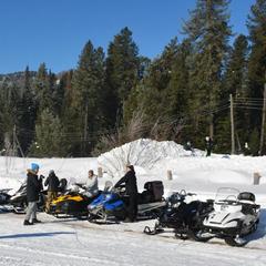 Гостевой дом Зеленый дом на Телецком озере, Артыбаш, Республика Алтай