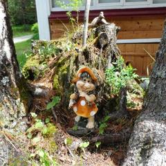 База отдыха Бия заповедная, Турочакский район, Республика Алтай