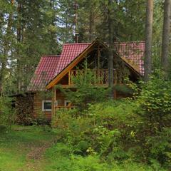 База отдыха Бия заповедная, Турочакский район, Республика Алтай