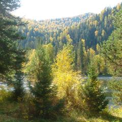 База отдыха Бия заповедная, Турочакский район, Республика Алтай